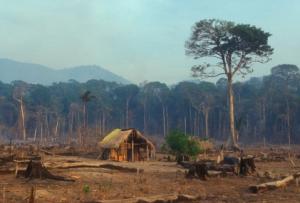 Decrease in deforestation drives drop in Brazil's emissions